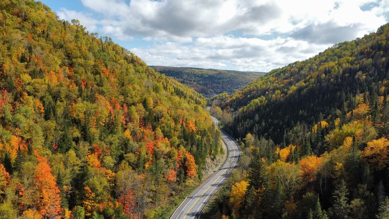 Un lac bordé de forêts denses au Québec