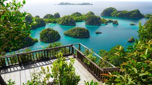 Vue panoramique sur les îlots karstiques et l'eau turquoise de Piaynemo