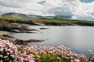 Vue panoramique sur les falaises et l'océan le long du Ring of Kerry