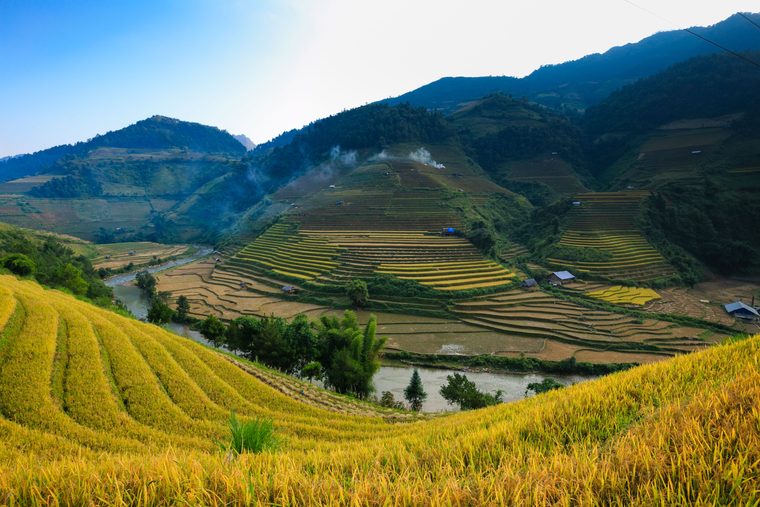 Rizières en terrasses dans la vallée de Muong Hoa à Sapa