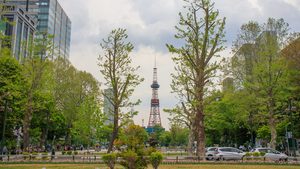 La tour de télévision de Sapporo illuminée au bout du parc Odori