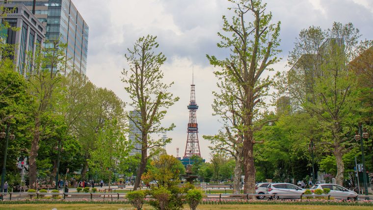 La tour de télévision de Sapporo illuminée au bout du parc Odori