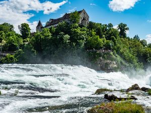 Les chutes du Rhin bouillonnantes avec le château de Laufen en arrière-plan