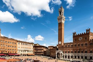 La Piazza del Campo et la Torre del Mangia vues depuis les hauteurs