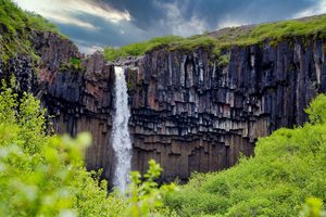 La cascade de Svartifoss entourée de ses orgues basaltiques noires