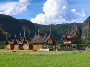 Maisons traditionnelles tongkonan avec leurs toits en forme de bateau au pays Toraja