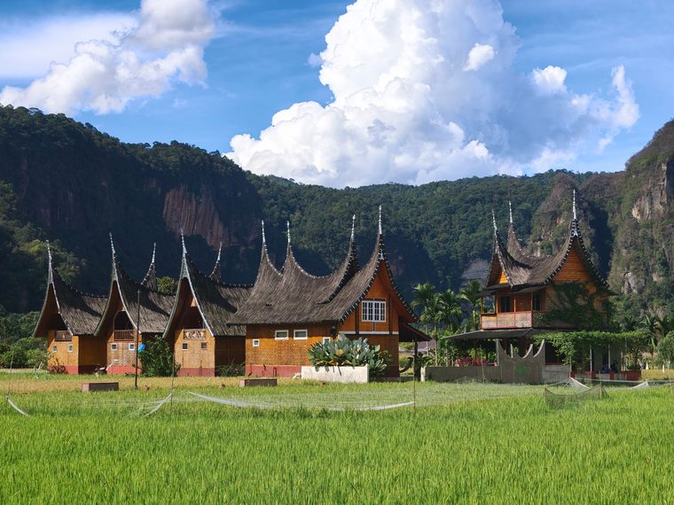 Maisons traditionnelles tongkonan avec leurs toits en forme de bateau au pays Toraja