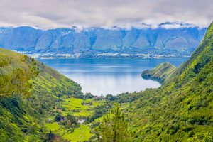 Les collines verdoyantes plongeant dans les eaux du lac Toba