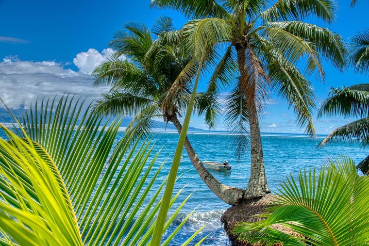 Les montagnes verdoyantes de Tahiti plongeant dans l'océan Pacifique