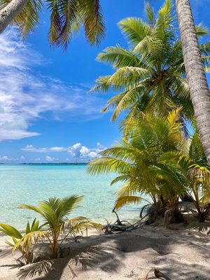 Un motu de sable rose bordé par les eaux turquoise du lagon de Tikehau