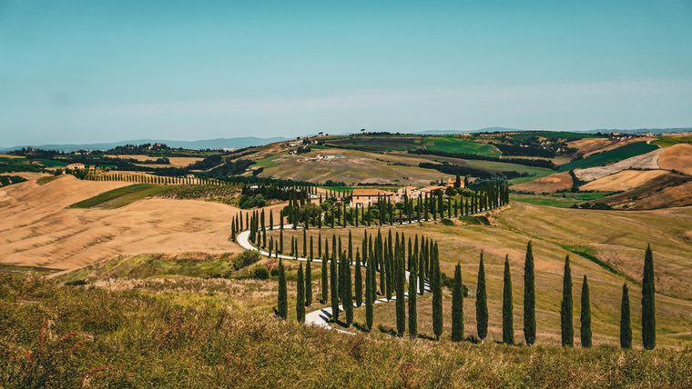 Collines verdoyantes et allée de cyprès dans le Val d'Orcia au lever du soleil