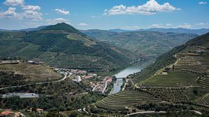 Les vignobles en terrasses plongeant vers le fleuve Douro