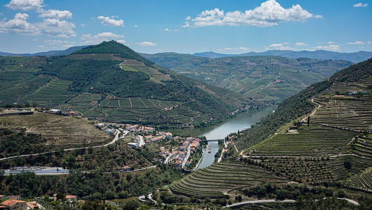 Les vignobles en terrasses plongeant vers le fleuve Douro