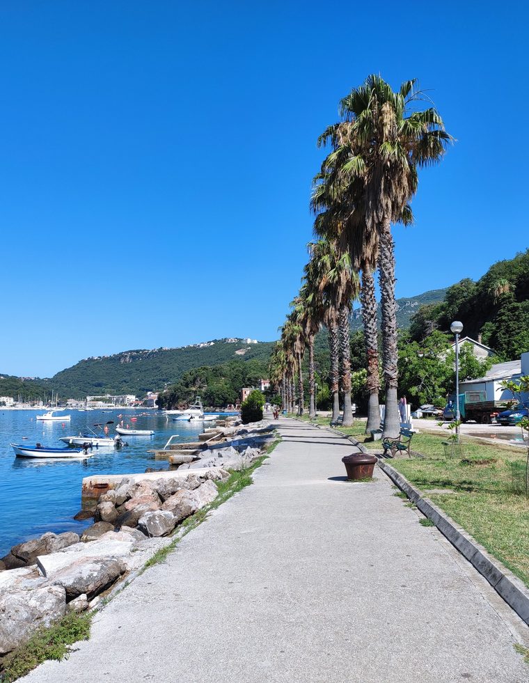 La longue promenade maritime de Vlorë bordée de palmiers