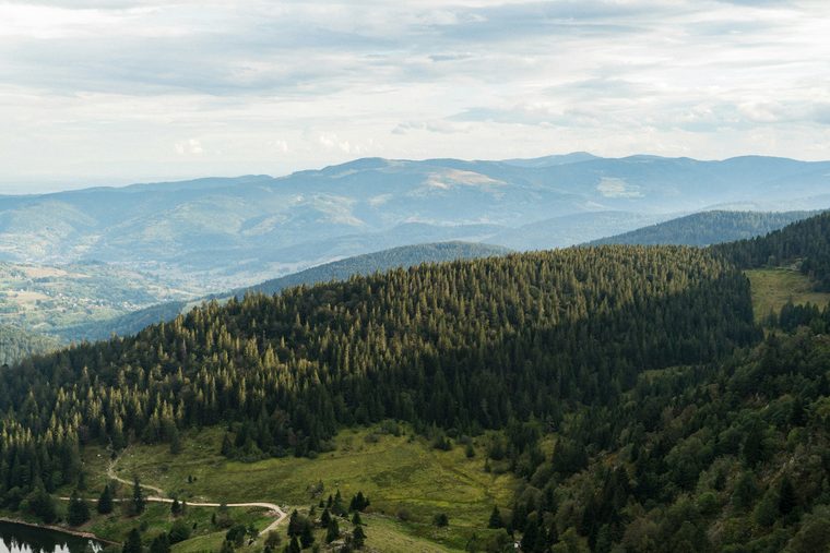 Vue dégagée depuis les crêtes vosgiennes au lever du soleil