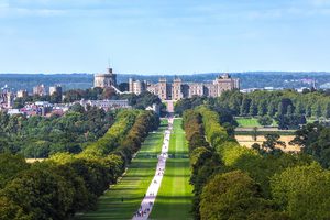 Le château de Windsor vu depuis la longue allée arborée du Long Walk