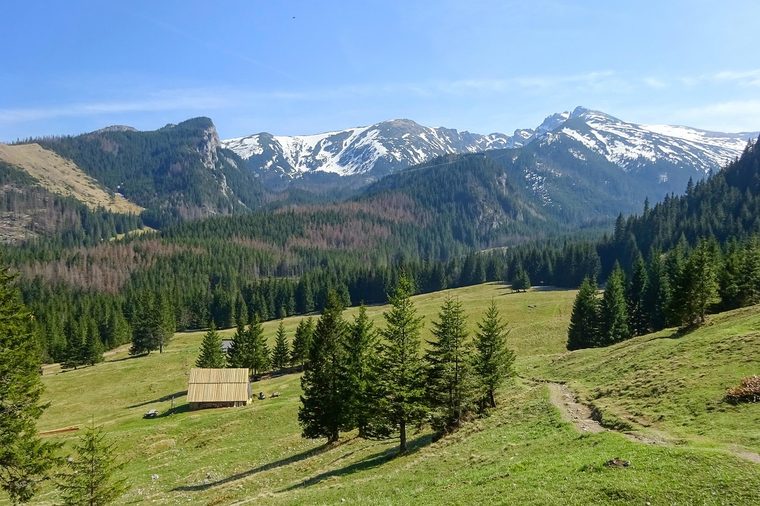 Maisons traditionnelles en bois de Zakopane avec les sommets enneigés des Tatras en arrière-plan