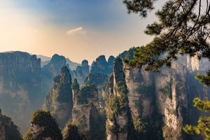 Les pics de grès de Zhangjiajie émergeant de la brume